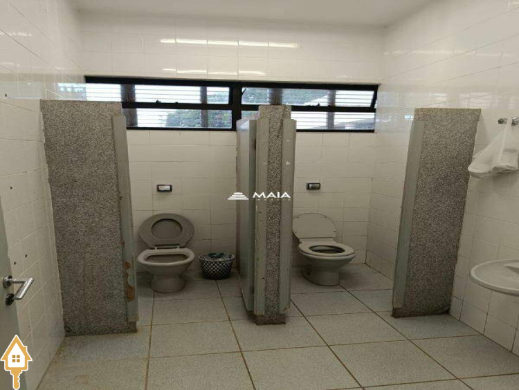 Fotos