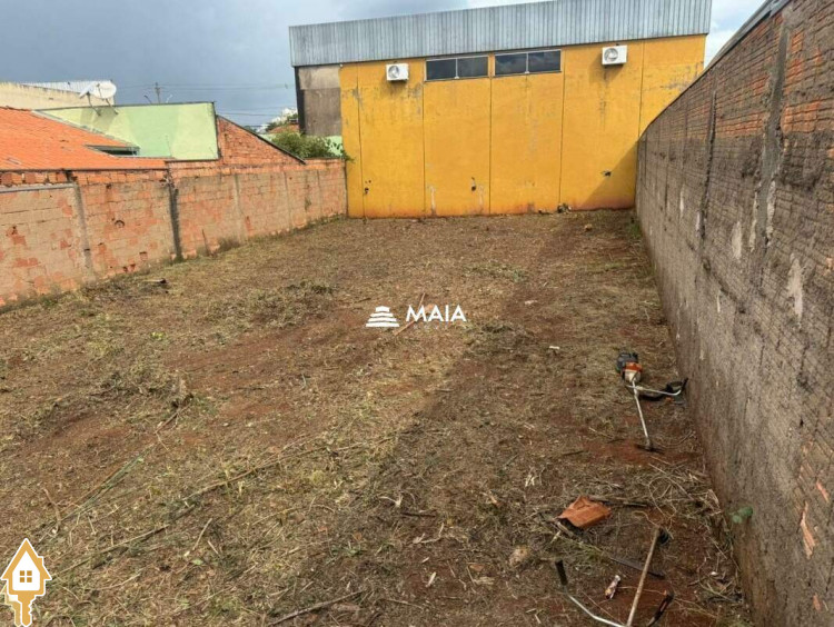 Fotos