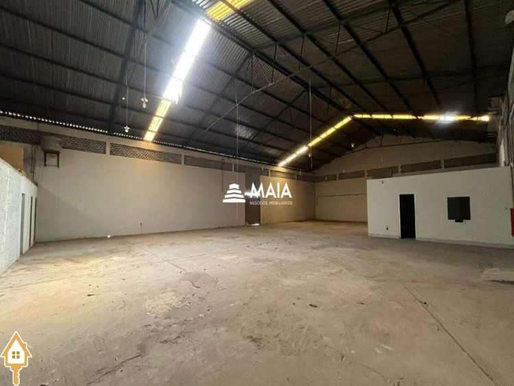 Fotos