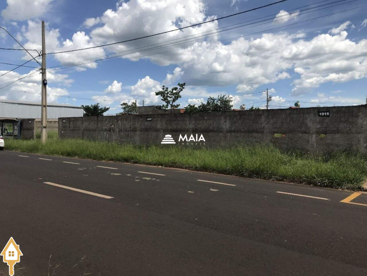 Fotos