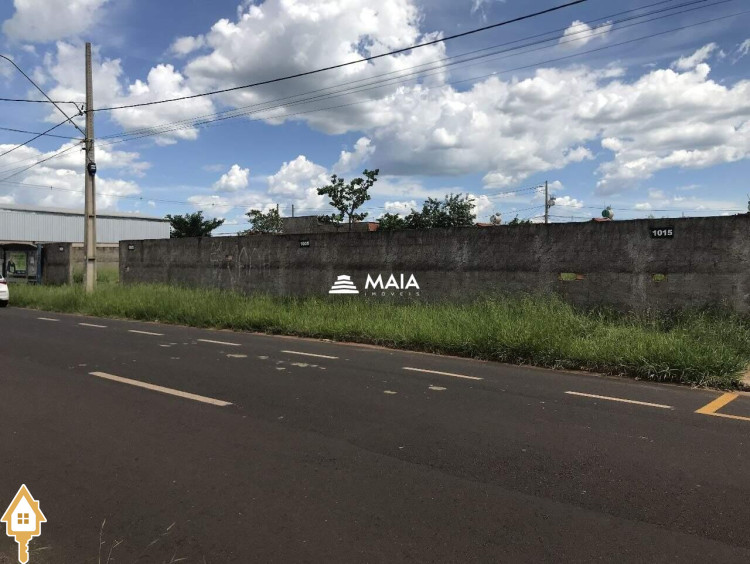Fotos