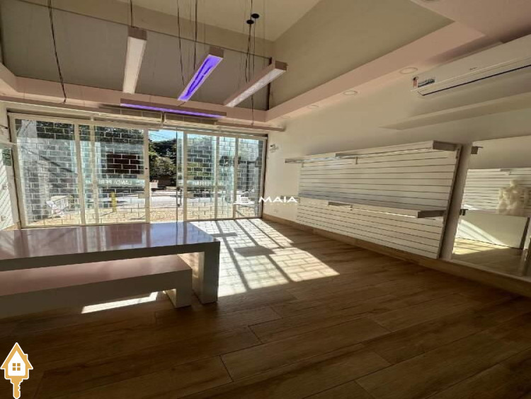 Fotos