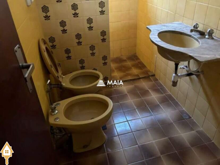 Fotos