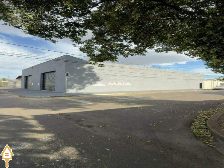 Fotos