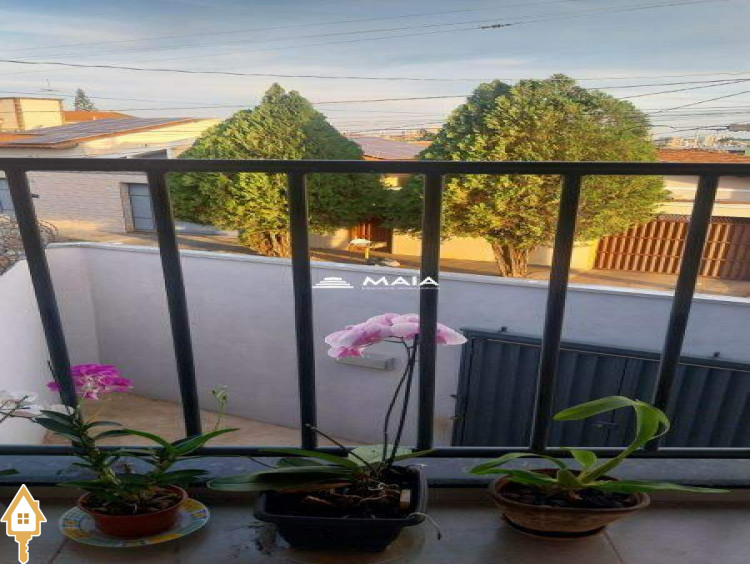 Fotos