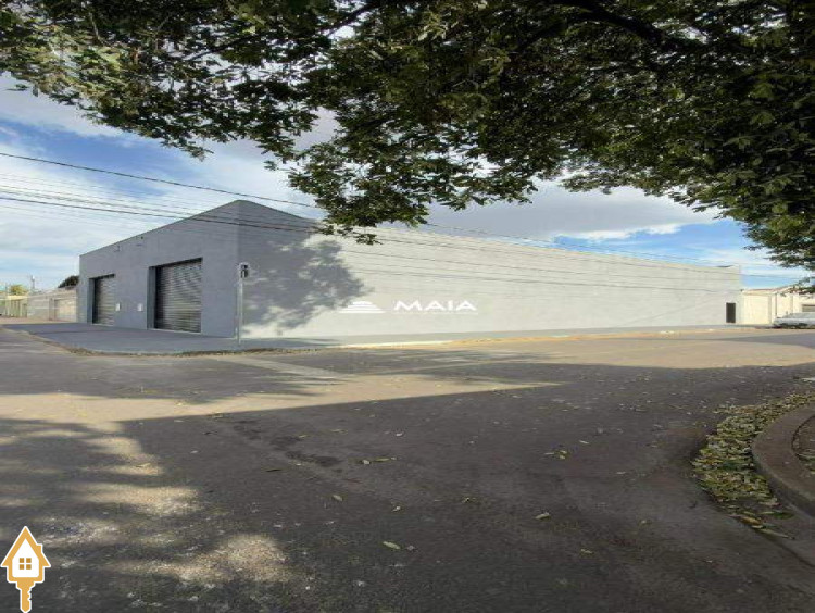 Fotos