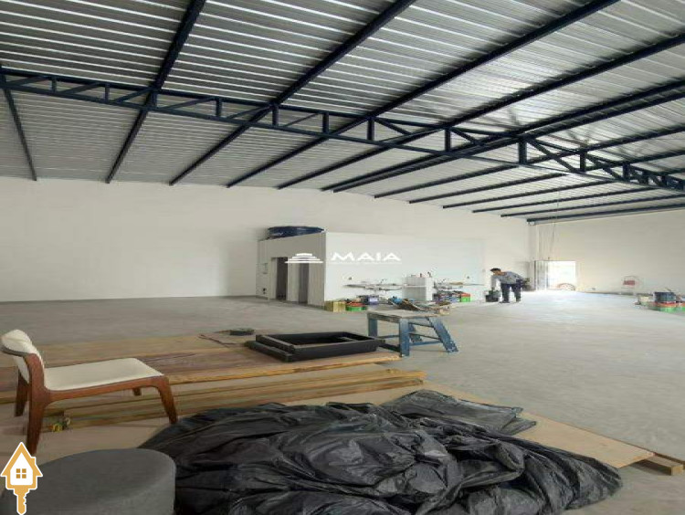 Fotos