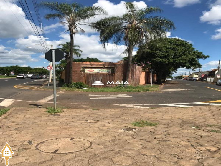 Fotos
