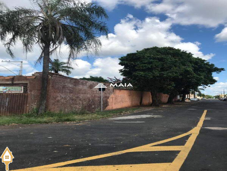 Fotos
