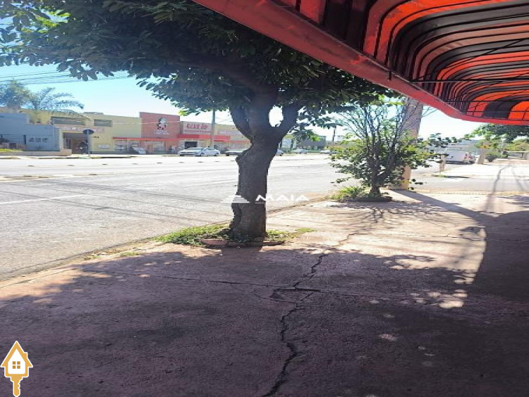 Fotos