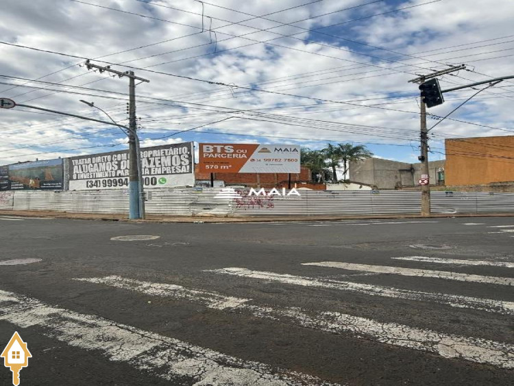 Fotos