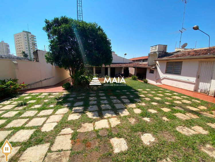Fotos