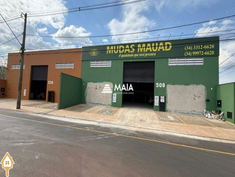 Fotos