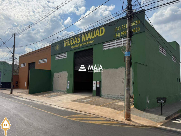 Fotos