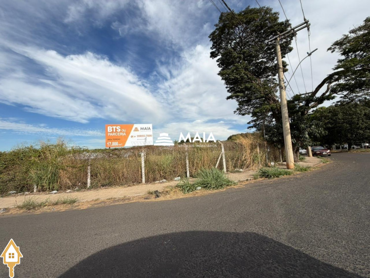 Fotos