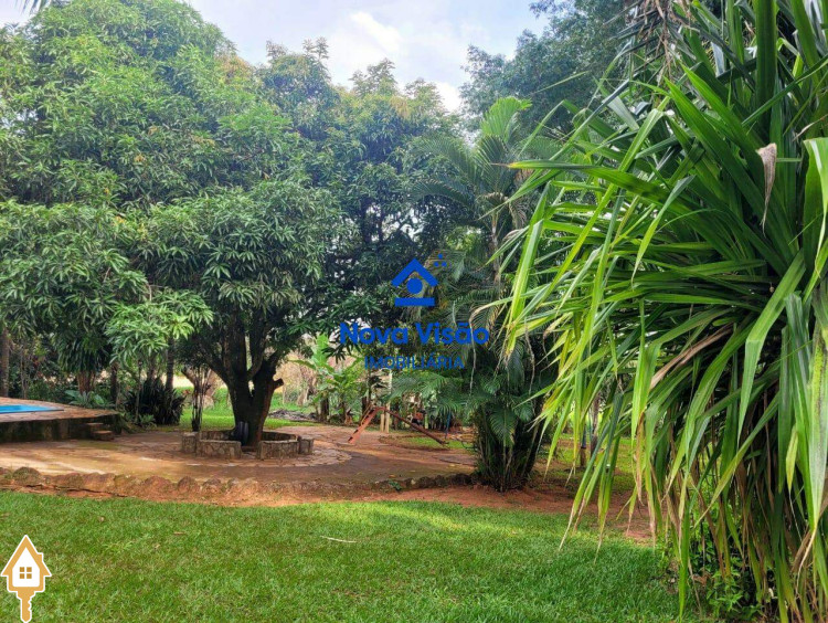 Fotos