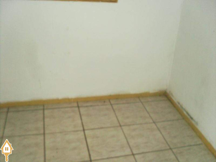 Fotos