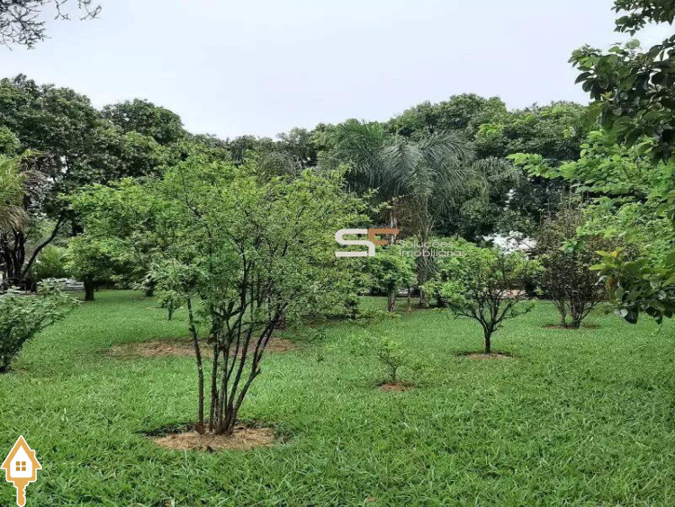 Fotos