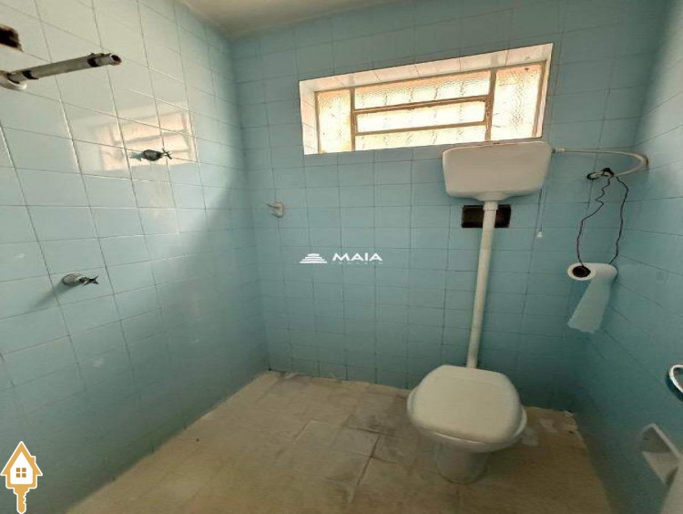 Fotos