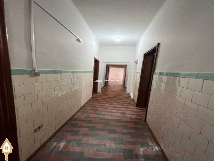 Fotos