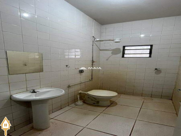 Fotos