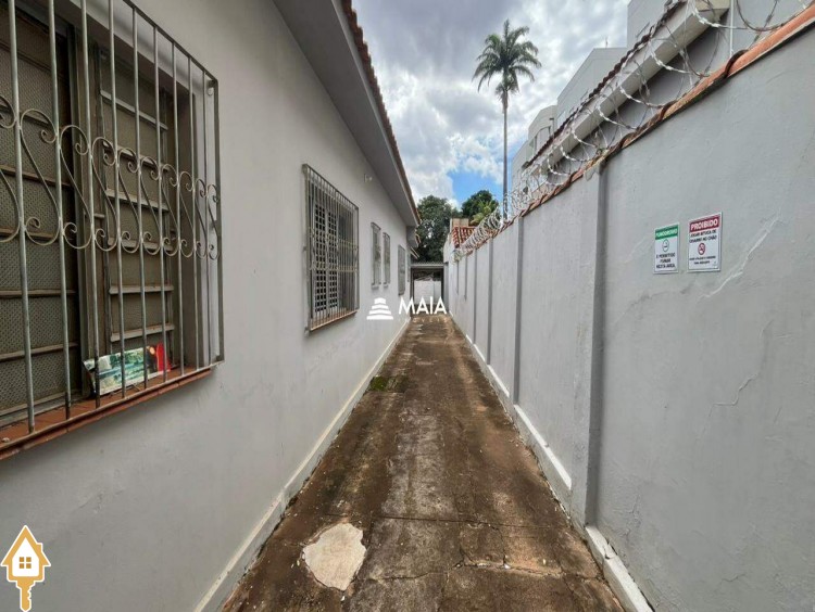 Fotos