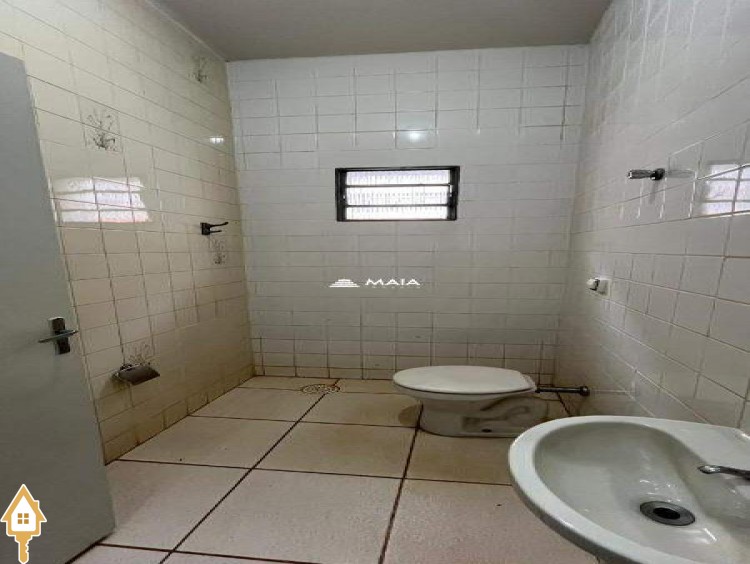 Fotos