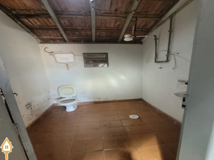 Fotos