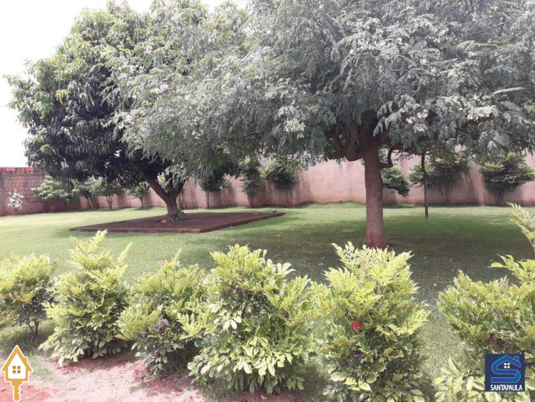 Fotos