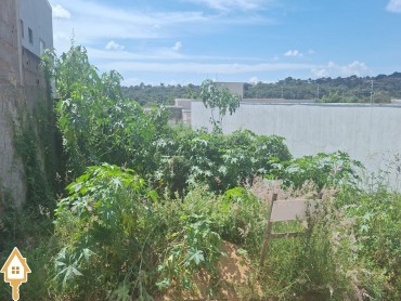 vende-se-terrenoarea-nene-gomes-jardim-uberaba-150288