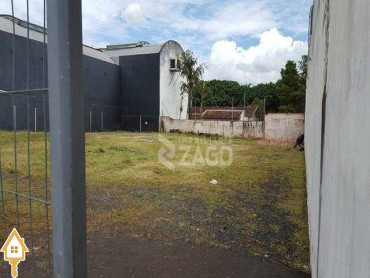 aluga-se-terrenoarea-sao-sebastiao-uberaba-158685