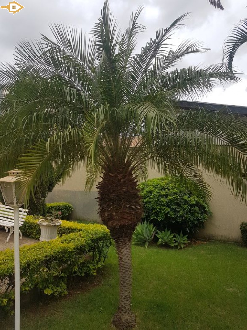 Imagem do imóvel com código 120133