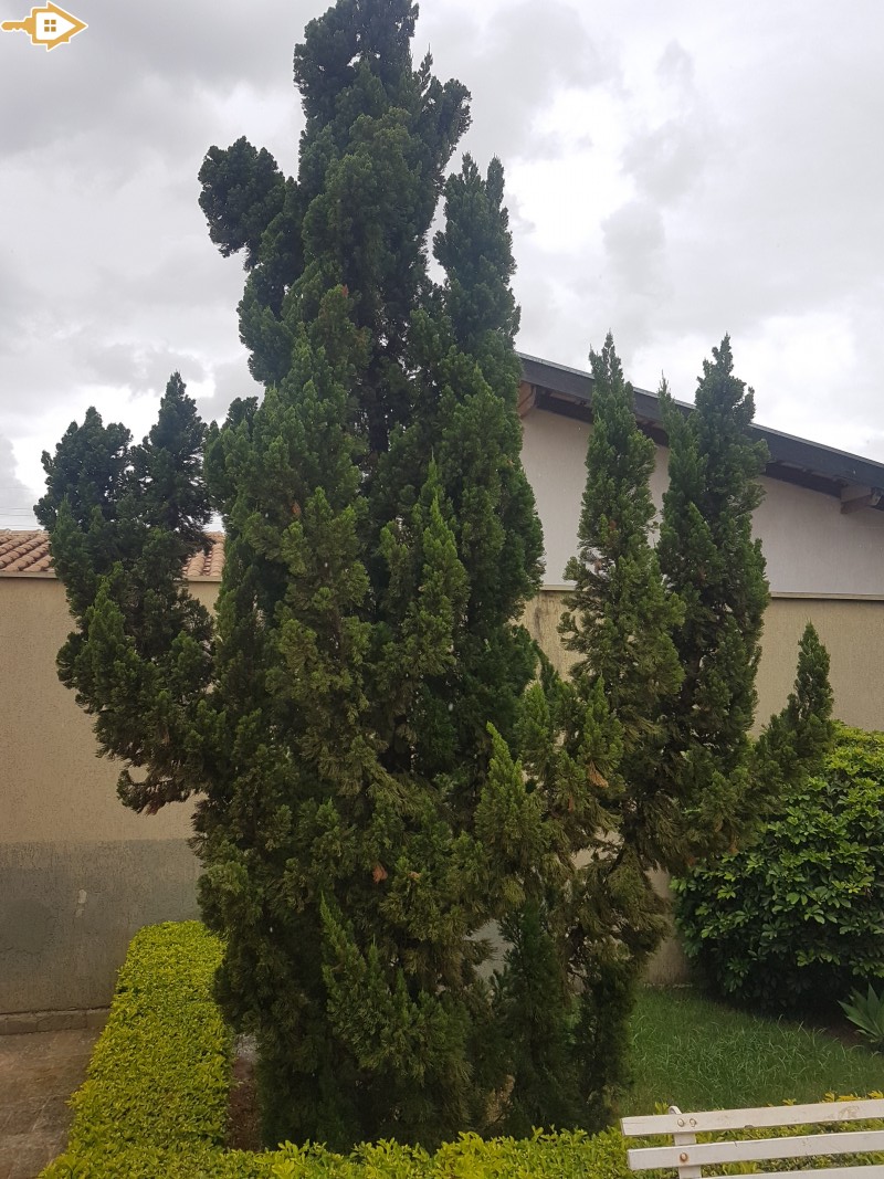 Imagem do imóvel com código 120133