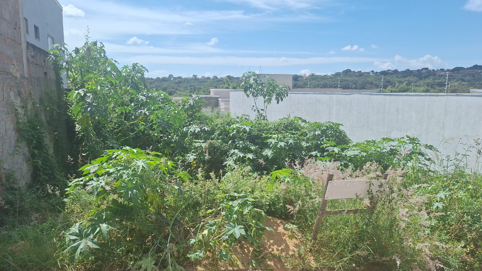 vende-se-terrenoarea-nene-gomes-jardim-uberaba-150288