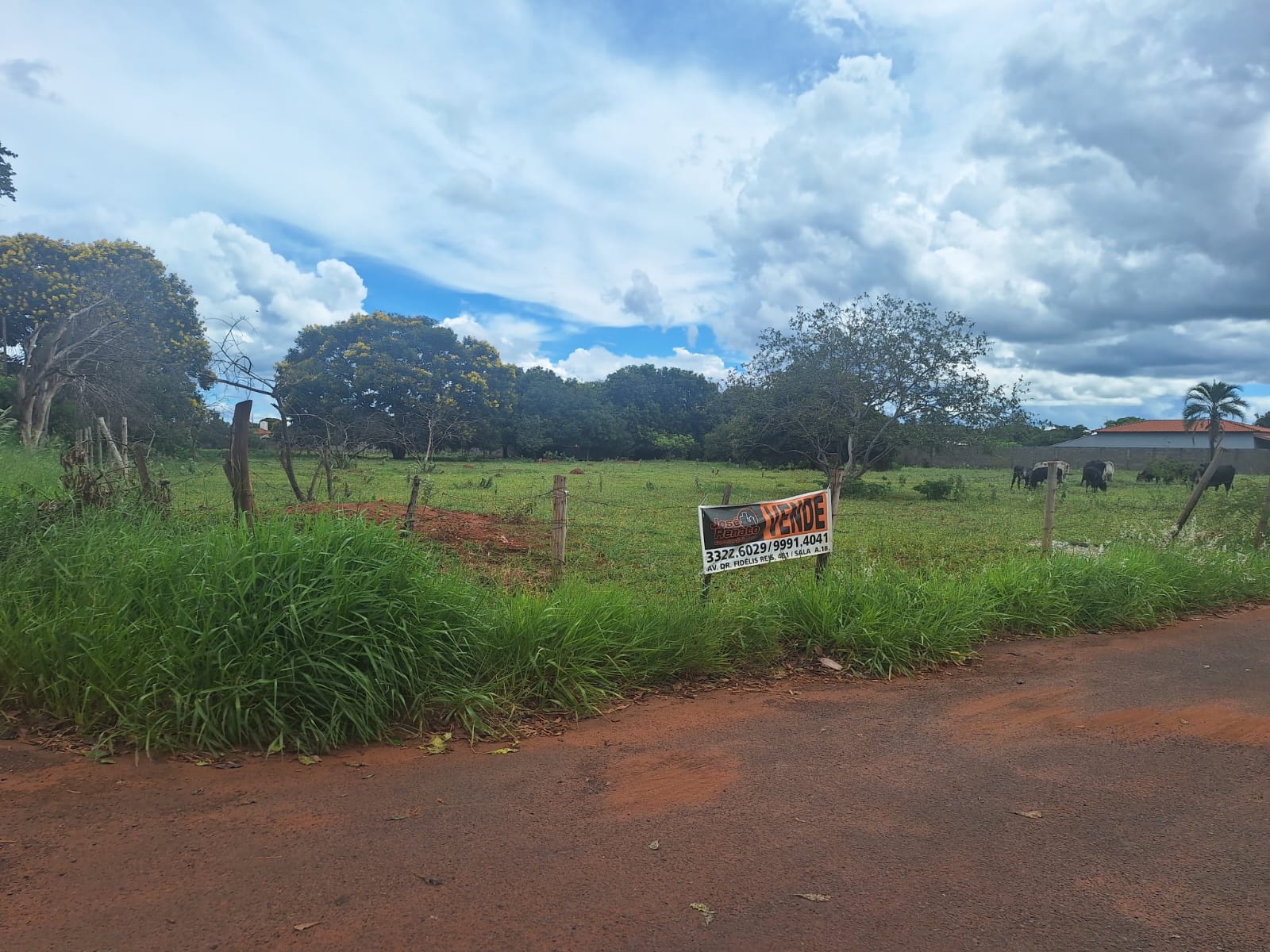 vende-se-chacara-sitios-vila-real-uberaba-154279