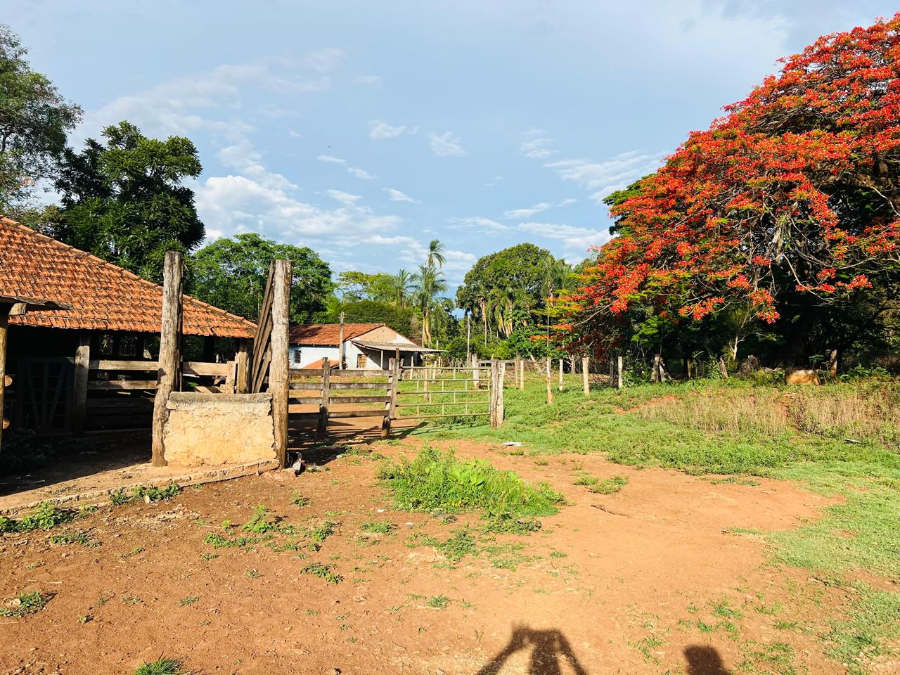 vende-se-chacara-sitios-rural-uberaba-155229